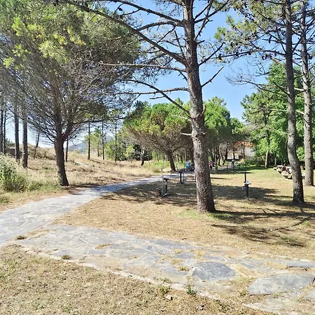 Pes Na Area Fisterra 13 San Martín de Arriba