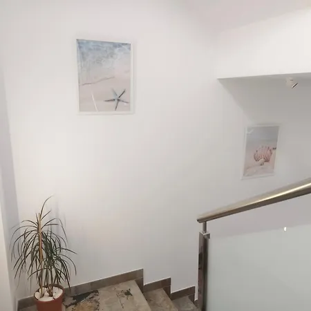 Pes Na Area Fisterra 13 *