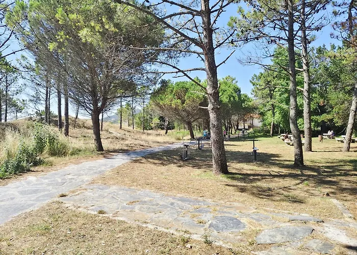 Pes Na Area Fisterra 13 San Martín de Arriba